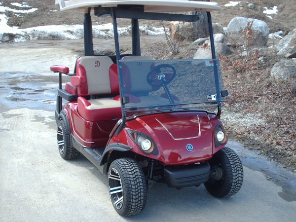 2009 Yamaha custom